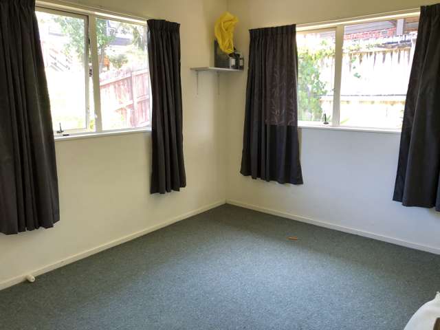 1/24 Ludlow Terrace Totara Vale_4