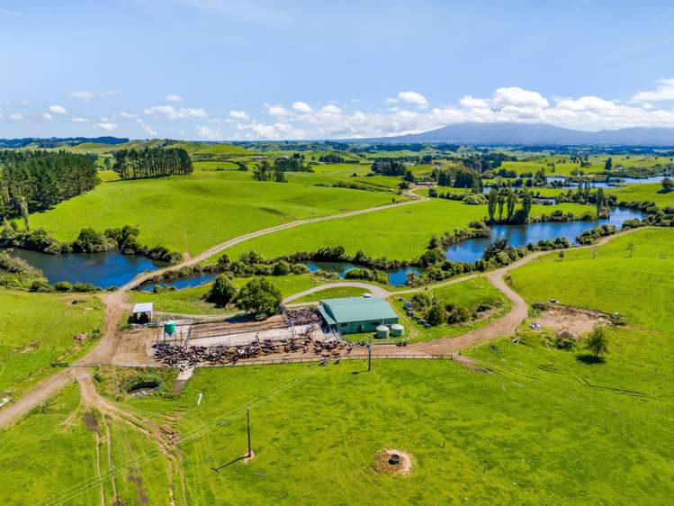 137 Ratapiko Road Ratapiko_12