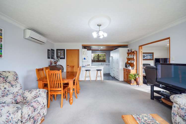 181 Ward Street Hargest_5