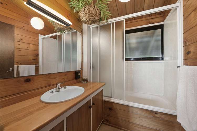 64 Utuhina Road Springfield_11