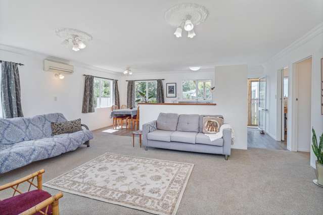 29b South Highway Whitianga_2