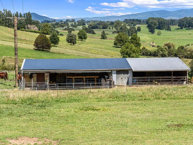 418 Parklands Road Te Awamutu_22