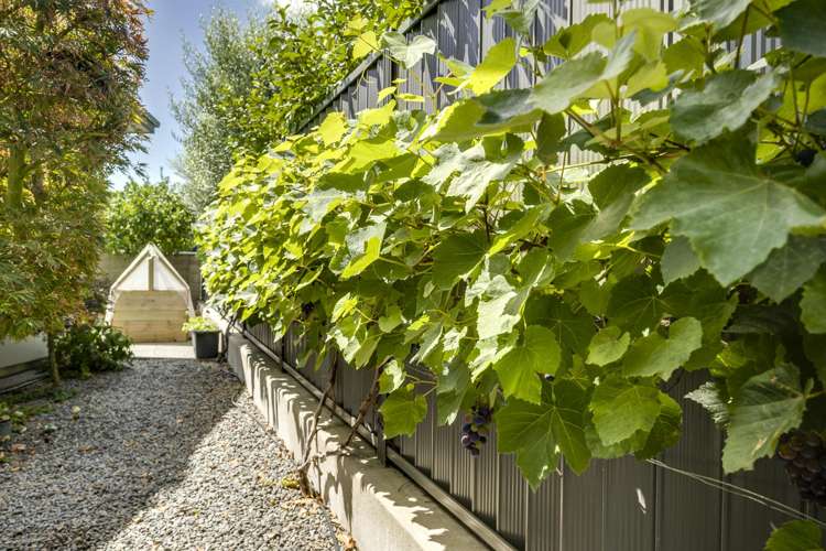 7 Raven Grove Havelock North_17