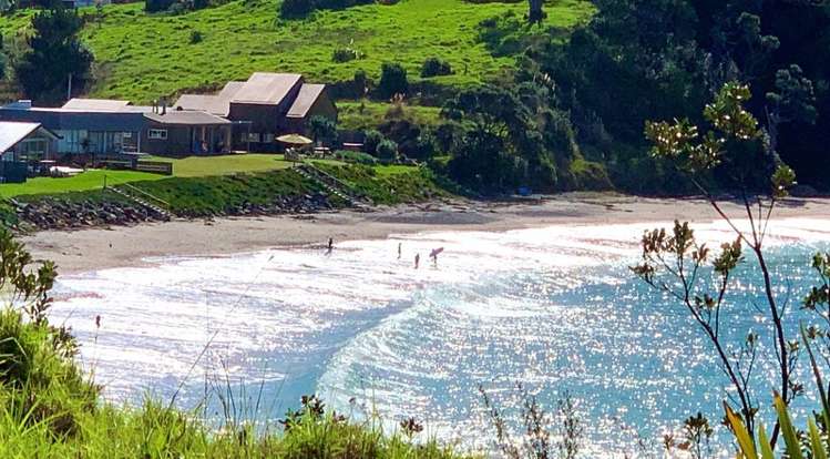 24 Mcgregor Street Taiharuru_24