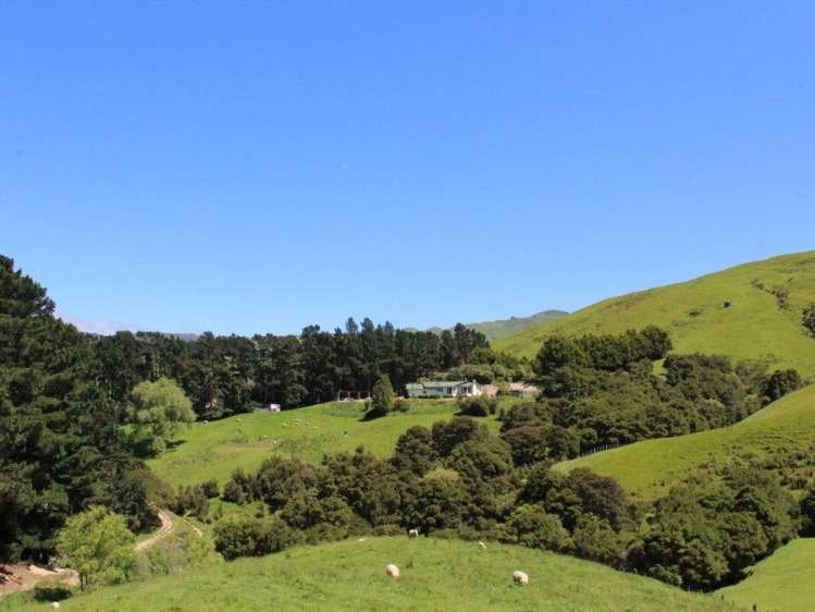 858 Oporae Road Weber_35