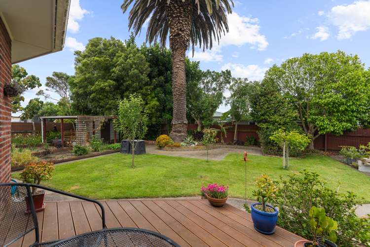 5 Tingey Place Awapuni_11