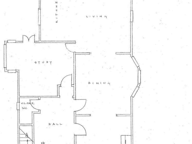 12 Davis Street Thorndon_16