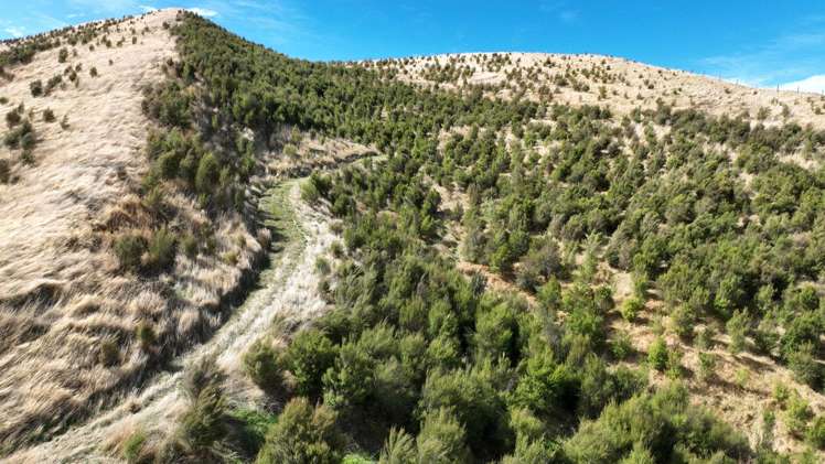 Waihoki Valley Road_3