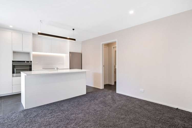 11/53 Manor Place Dunedin Central_9