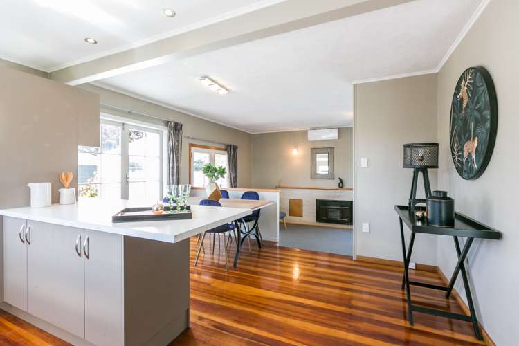 617 Willow Place Akina_5