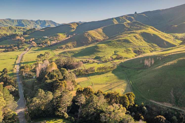 1437 Ormondville Te Uri Road Rangitikei Surrounds_24