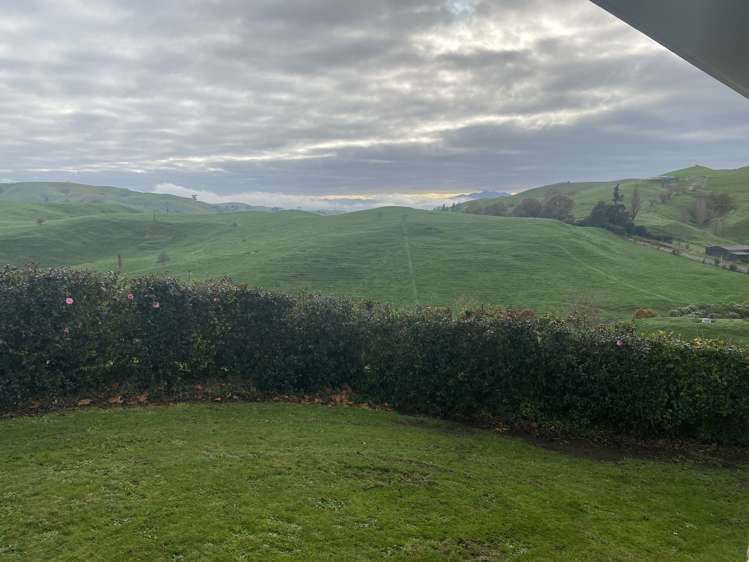 499A Tahuroa Road Morrinsville_30