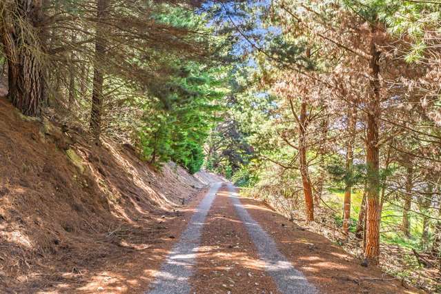 1/965 Lake Hawea - Albert Town Road Albert Town_4