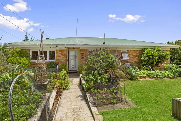 38 Norrie Avenue Raglan_12