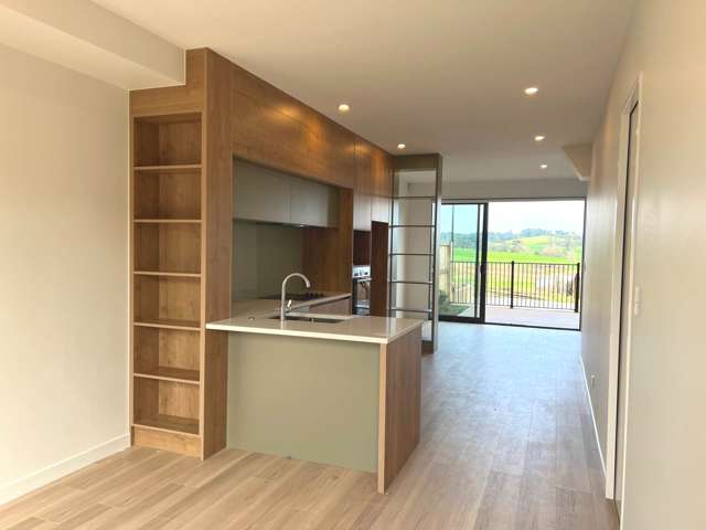 92 Tarapuka Road Westgate_1