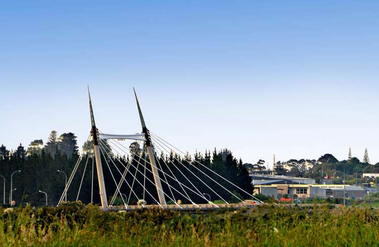 3 Sycamore Street Flat Bush_19