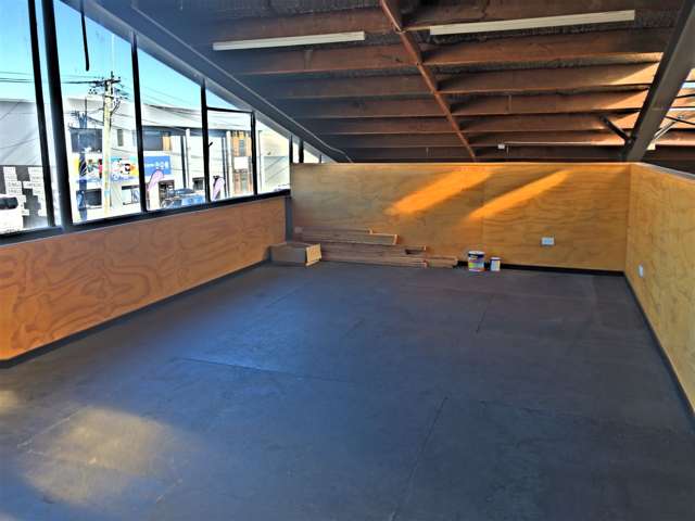 205 Wordsworth Street Sydenham_4