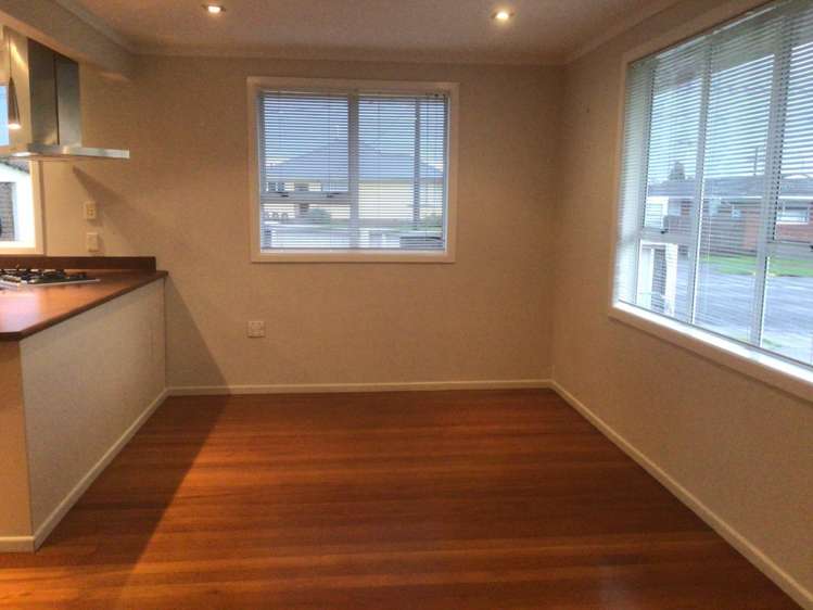 2 Saxton Road Upper Vogeltown_4