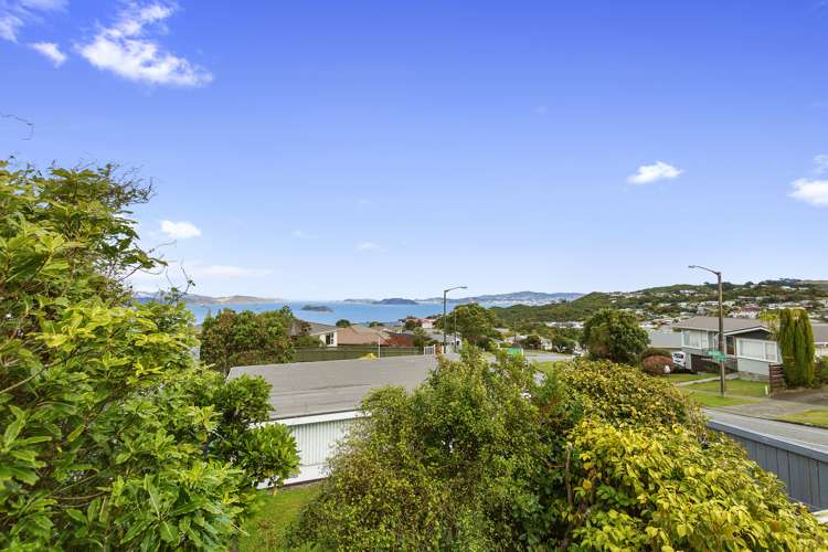 252 Dowse Drive Maungaraki_20