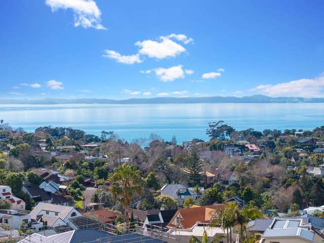 727 m2 + Sea Views zoned for Macleans