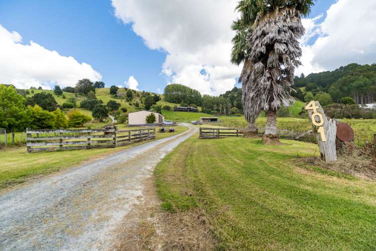 401 Wright Road Matakana_47