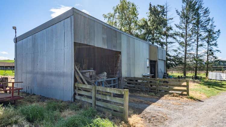 44 Limeworks Road Pyramid Valley_31