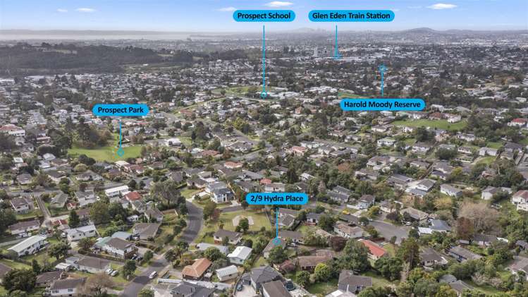 2/9 Hydra Place Glen Eden_15