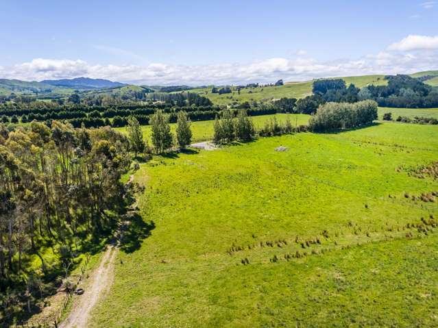 Lot 5, 216 Donovans Road Masterton_1