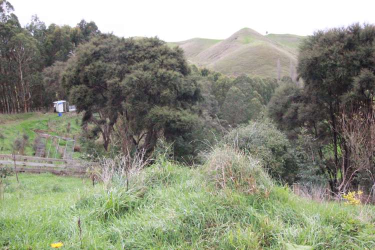 65 Waikupa Road Okoia_11