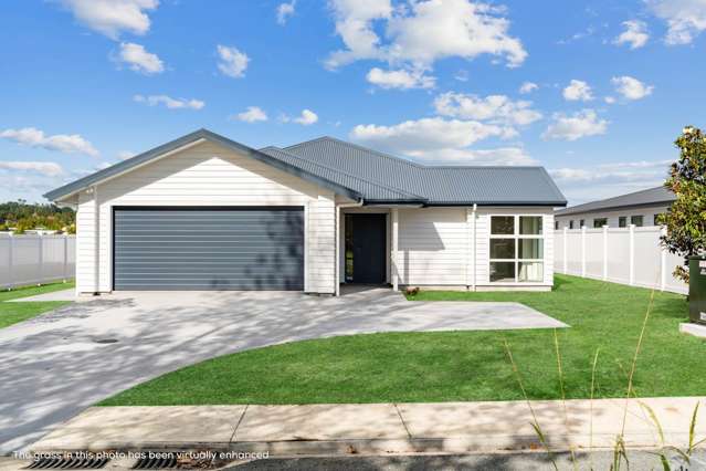 15 Blackbird Place Mangawhai Heads_1