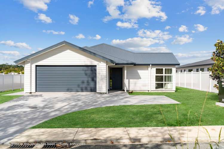 15 Blackbird Place Mangawhai Heads_1