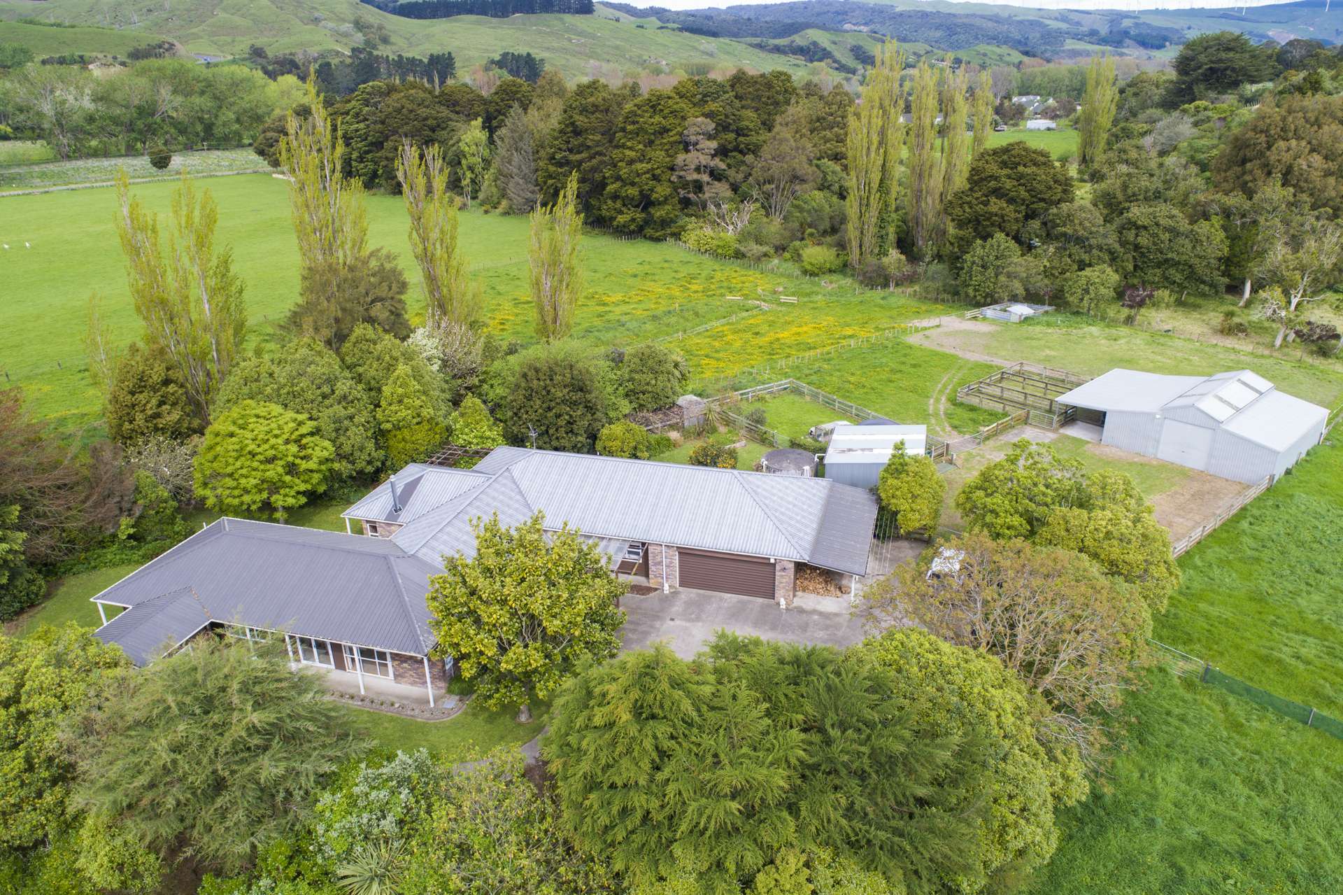 1089 Saddle Road Ashhurst_0