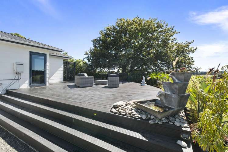 22 Ward Street Bulls_14