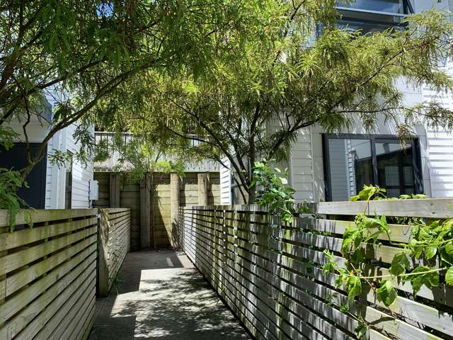 35D Nairn Street Mount Cook_1