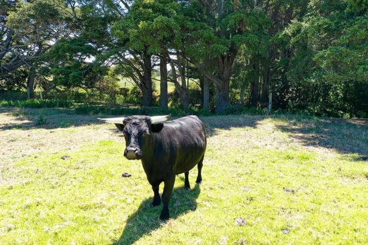 287 Mclean Road Waipu_18