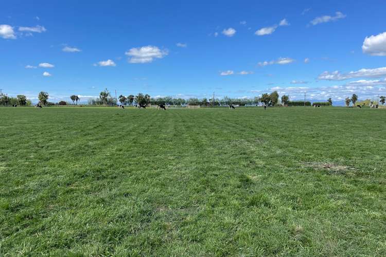 Mount Stewart Halcombe Road Sanson_10