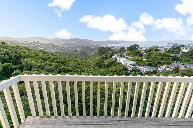12 Ashton Fitchett Drive Brooklyn_5