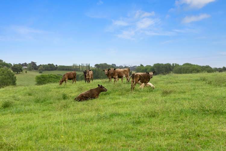 260b Bain Road Ruawaro_7