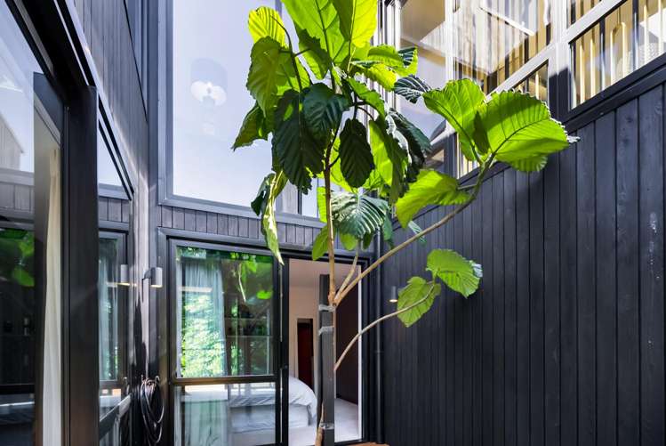 12A Baring Terrace Strandon_44