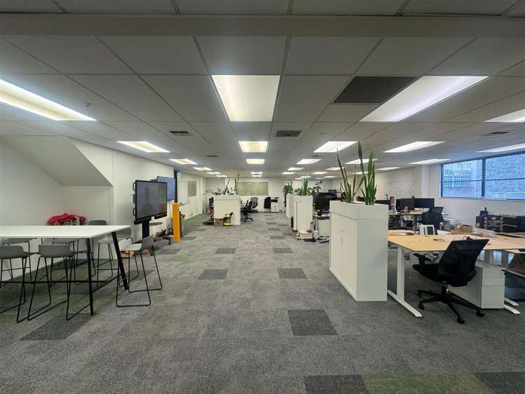 5 Wilkins Street Freemans Bay_9