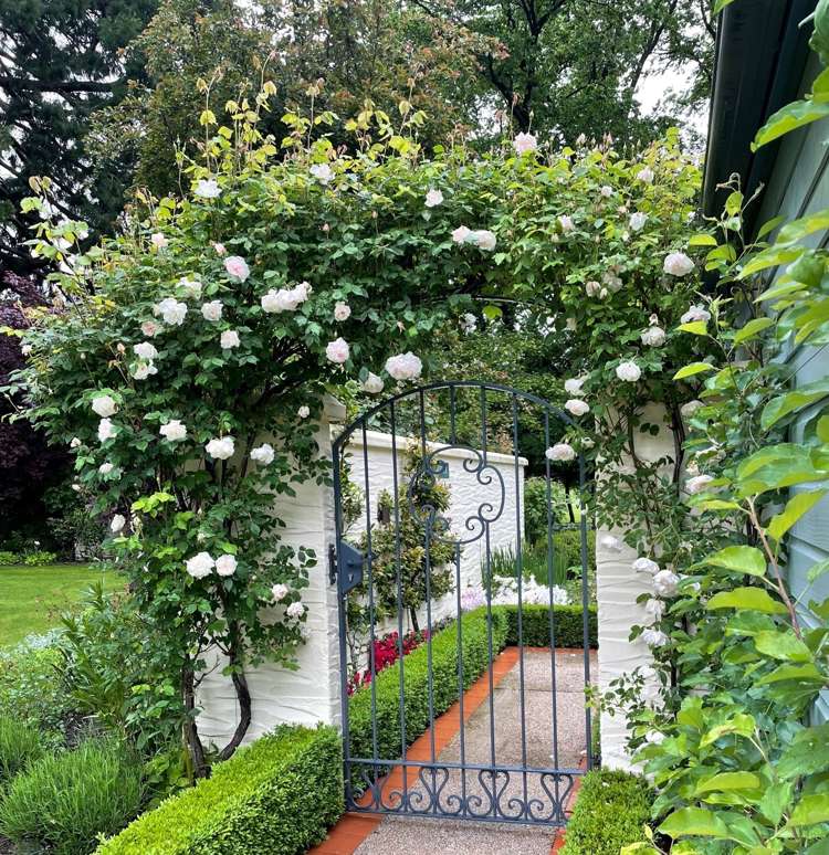 1 The Avenue Arrowtown_21