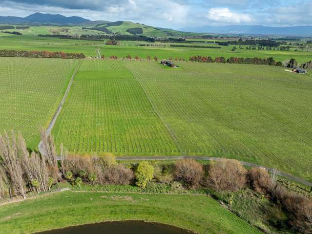 Lot 3 Willow Lane Martinborough_3