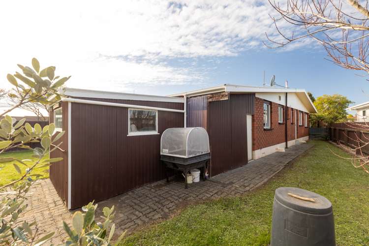 19 Alexander Street Awapuni_24
