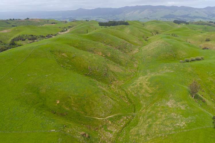 137 Zigzag Road Pohangina Valley_25