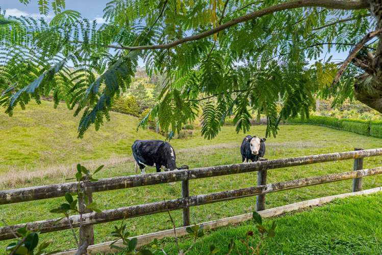 259 Glenmohr Road Waipu_48