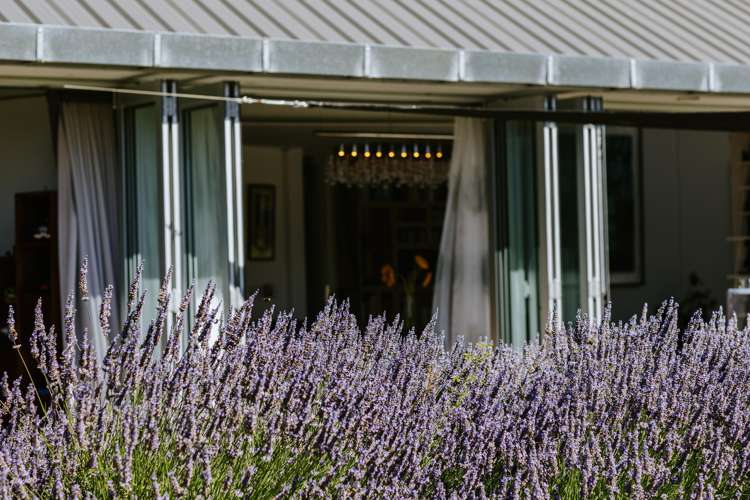 2127F Cardrona Valley Road Cardrona_23