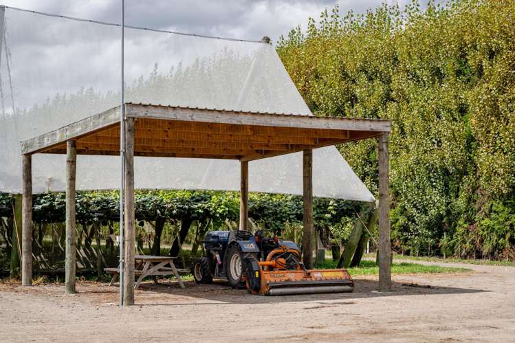 187 Western Drain Road Edgecumbe_7