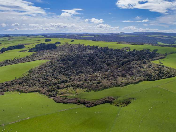 283 Otara Haldane Road Wyndham Surrounds_16