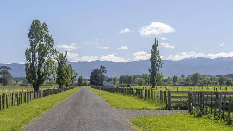 Chishams Road Martinborough_8