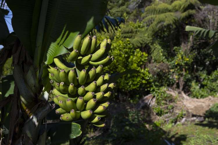3 Tasman Street Mangonui_26